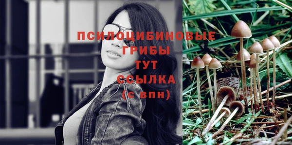 прущие крисы Алексеевка