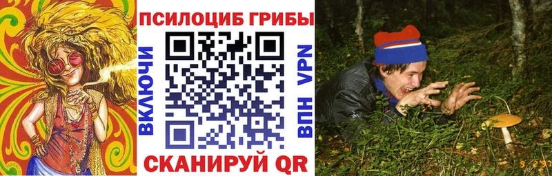 Псилоцибиновые грибы GOLDEN TEACHER Луза