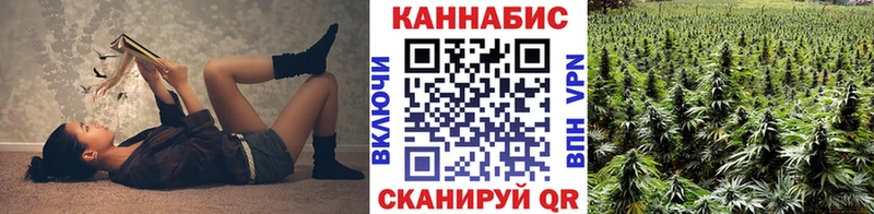 Каннабис SATIVA & INDICA Луза